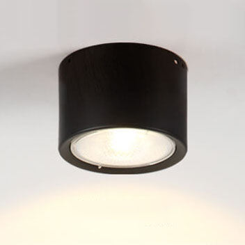 Cilindervormige Plafondlamp Nordic Stijl Aluminium Spotverlichting Woonkamer Slaapkamer Gang 3000K 6000K | Sansoti