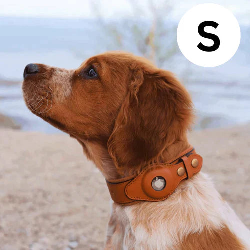 GPS Dog Collar with Worldwide Tracking Without Subscription for Safe Walks and Full Control Over Your Dog | Sansoti