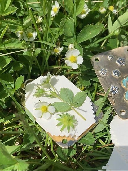 Mini Bloempers Compacte Botanische Herbarium Pers Draagbaar Bloemen Drogen Handwerk Tool Bladeren Persen Natuurbewaartool | Sansoti