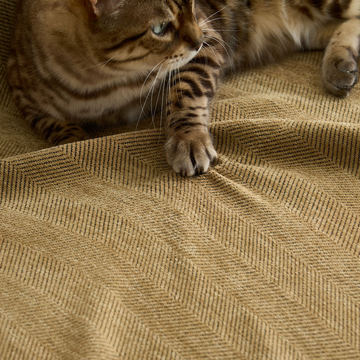 Herringbone Texture Sofa Cover Pet-Proof Water-Repellent Furniture Protection Textile Weave Sofa Cover | Sansoti