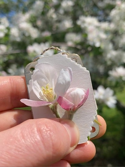 Mini-Blumenpresse, kompakte botanische Trockenpresse, tragbare Herbariumpresse zum Aufbewahren natürlicher Blätter | Sansoti