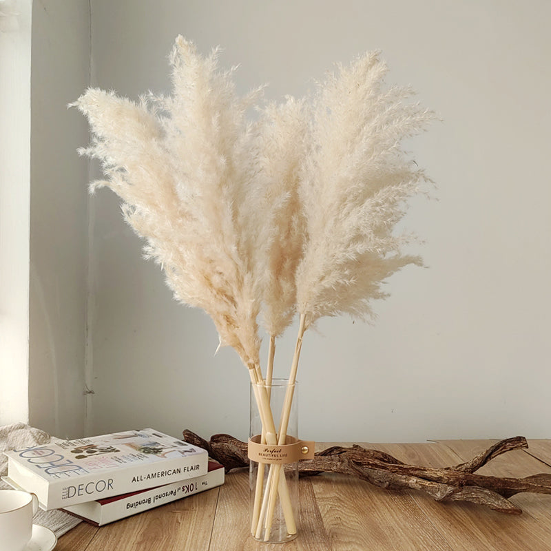 Gedroogde Pampagras Pluimen 10-Delige Set Natuurlijk Decoratief Siergras | Sansoti