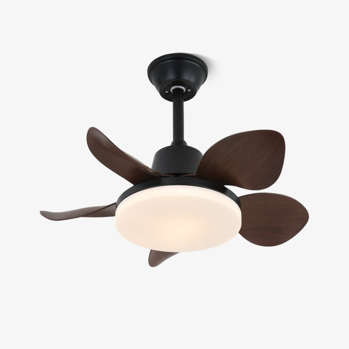 Modern Ceiling Fan Veyra with Lamp and 6 Speeds – Diameter 71 cm – Remote Control | Sansoti