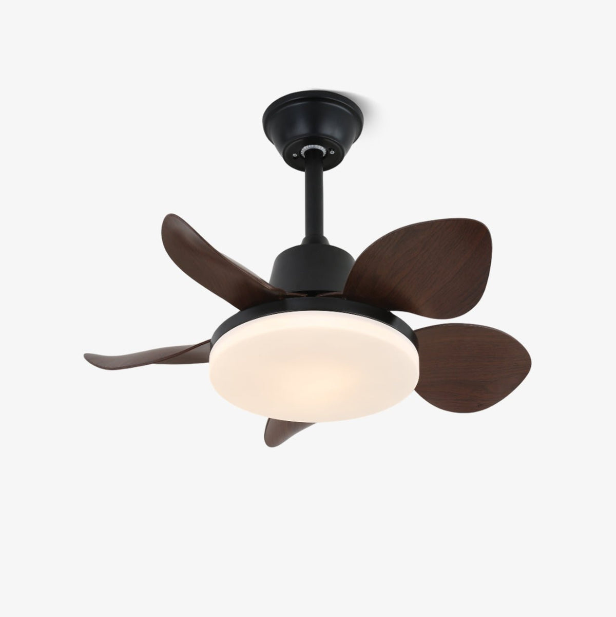 Moderner Deckenventilator Veyra mit Lampe und 6 Geschwindigkeiten – Durchmesser 71 cm – Fernbedienung | Sansoti