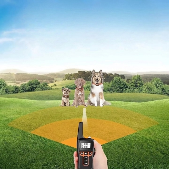 Dog Training Collar 1000m Range 3 Modes Rechargeable Waterproof IP67 for Dogs 5-50kg | Sansoti