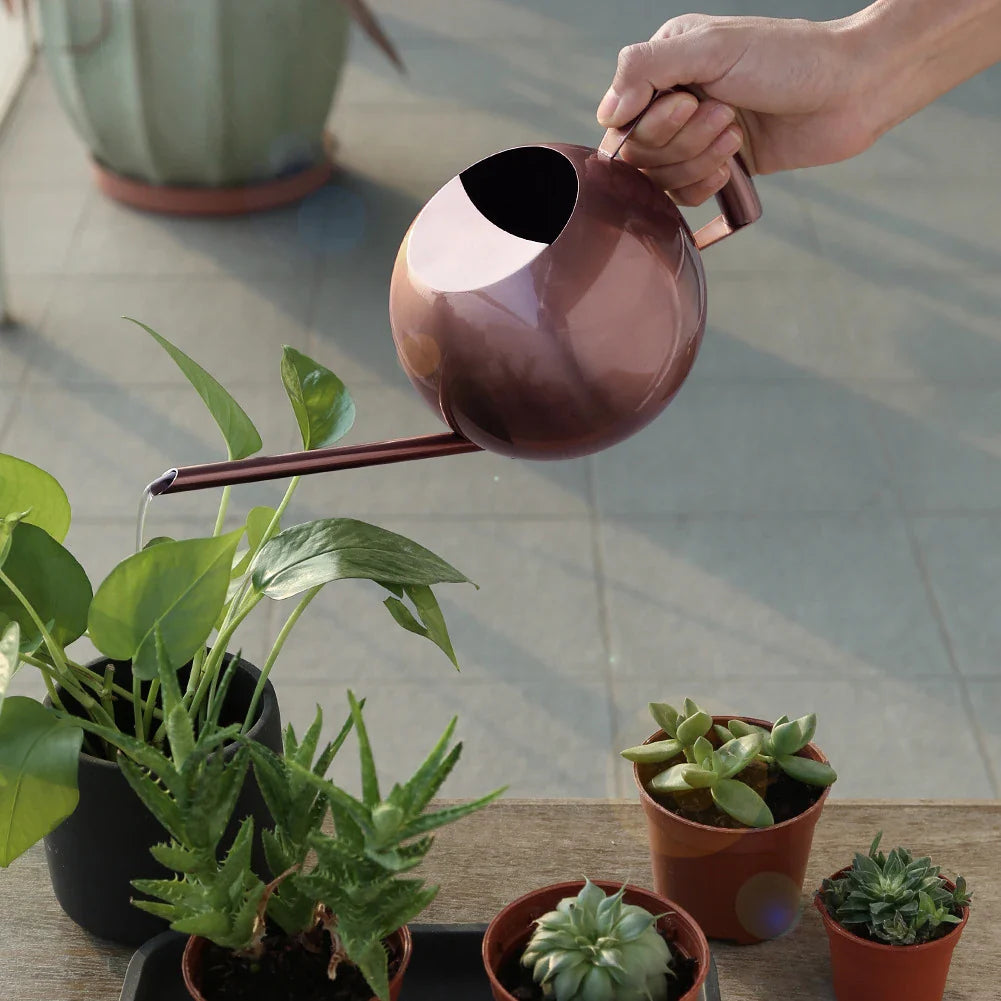 Minimalist Watering Can Ø 29 cm Stainless Steel for Indoor Plants 1500 ml | Sansoti