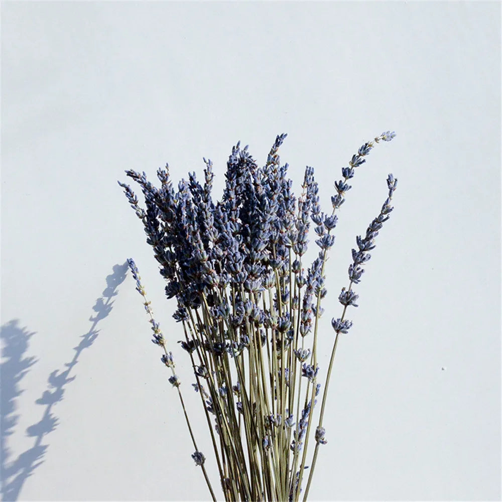 Dried Lavender Bundle Natural 40cm Fragrant Decorative Purple Bouquet for Interior and Aromatherapy | Sansoti