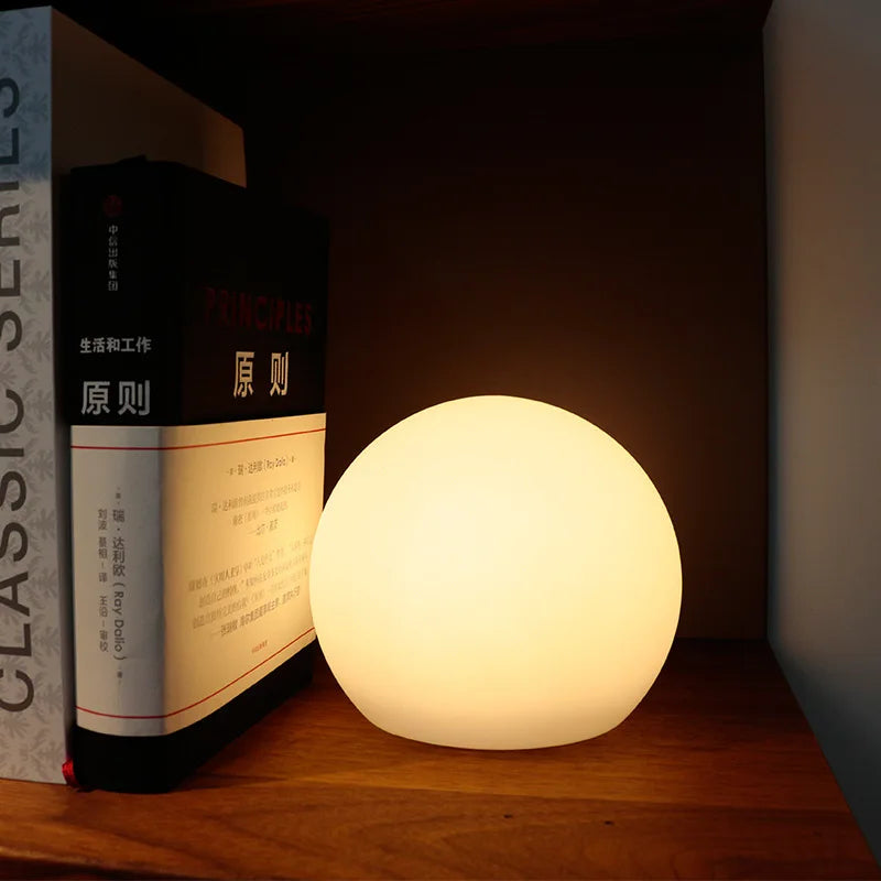 Wireless Table Lamp with Globe Shade 16 Colors and Remote Control USB Rechargeable | Sansoti