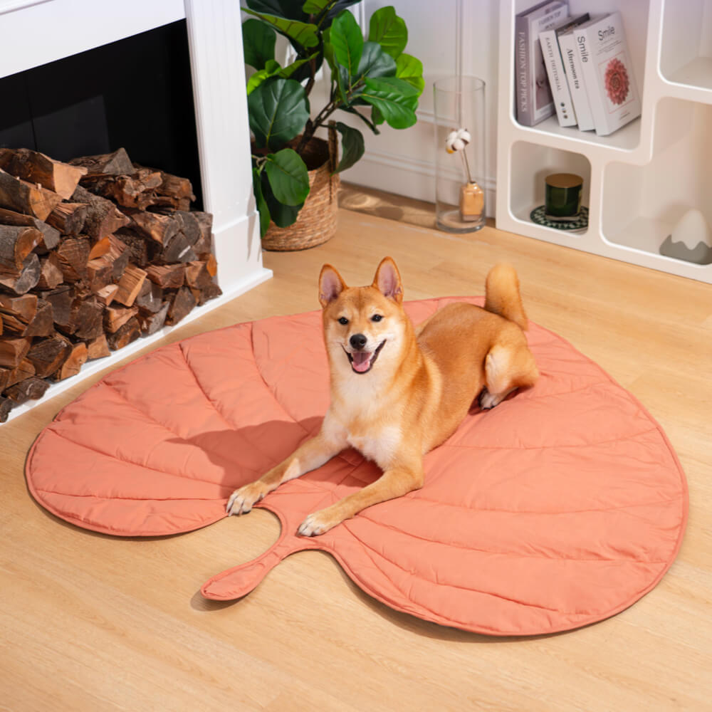 Leaf Pattern Dog Blanket 120×110 cm Anthurium Pink – Soft Pet Blanket Protective Cover for Sofa and Armchair | Sansoti