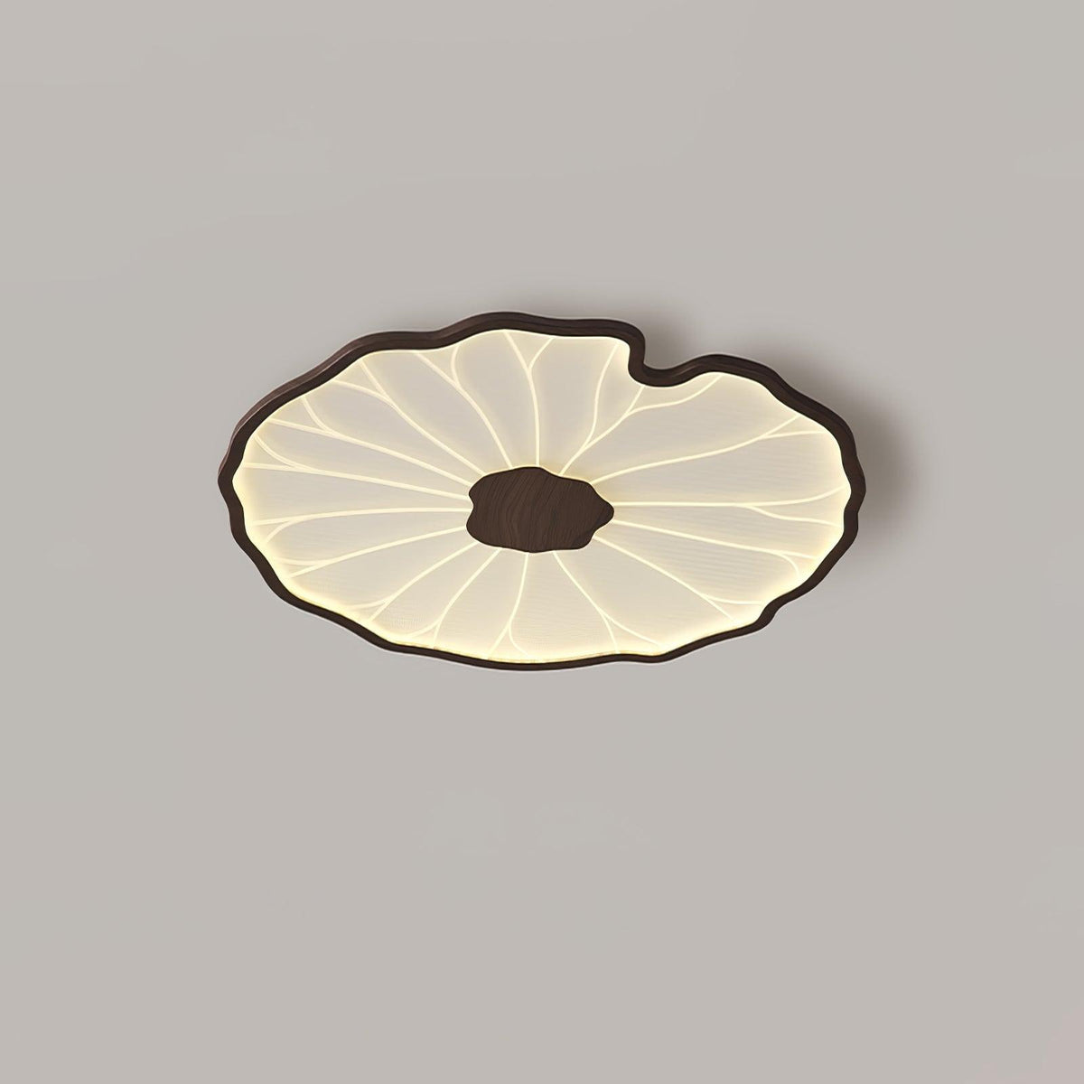 LED ceiling lamp wood look walnut acrylic metal ceiling lamp low ceilings living room bedroom design lamp | Sansoti