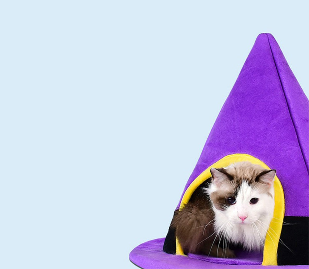 Halbgeschlossener Katzenkorb, Plüsch-Haustierbett, Lila, winterlich warm, für Katzen und kleine Hunde, komfortabel | Sansoti