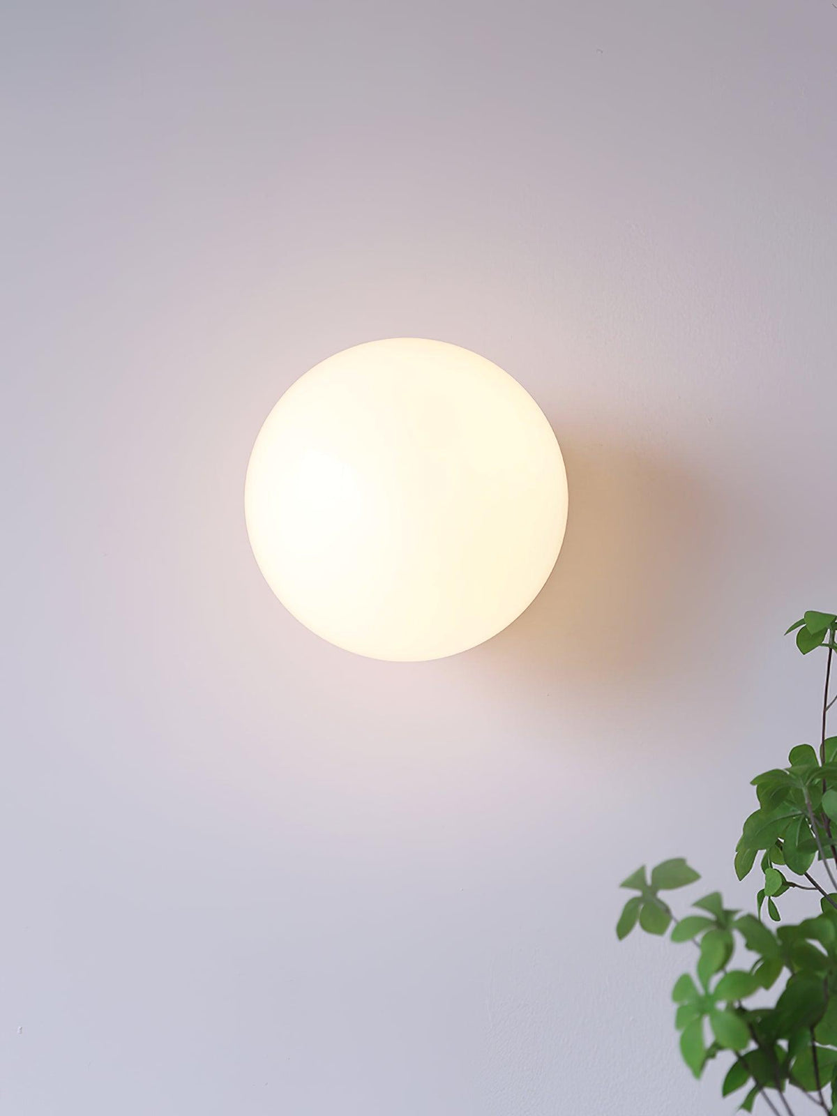 Glass wall lamp with colored diffuser – Dimmable wall & ceiling convertible fixture | Sansoti