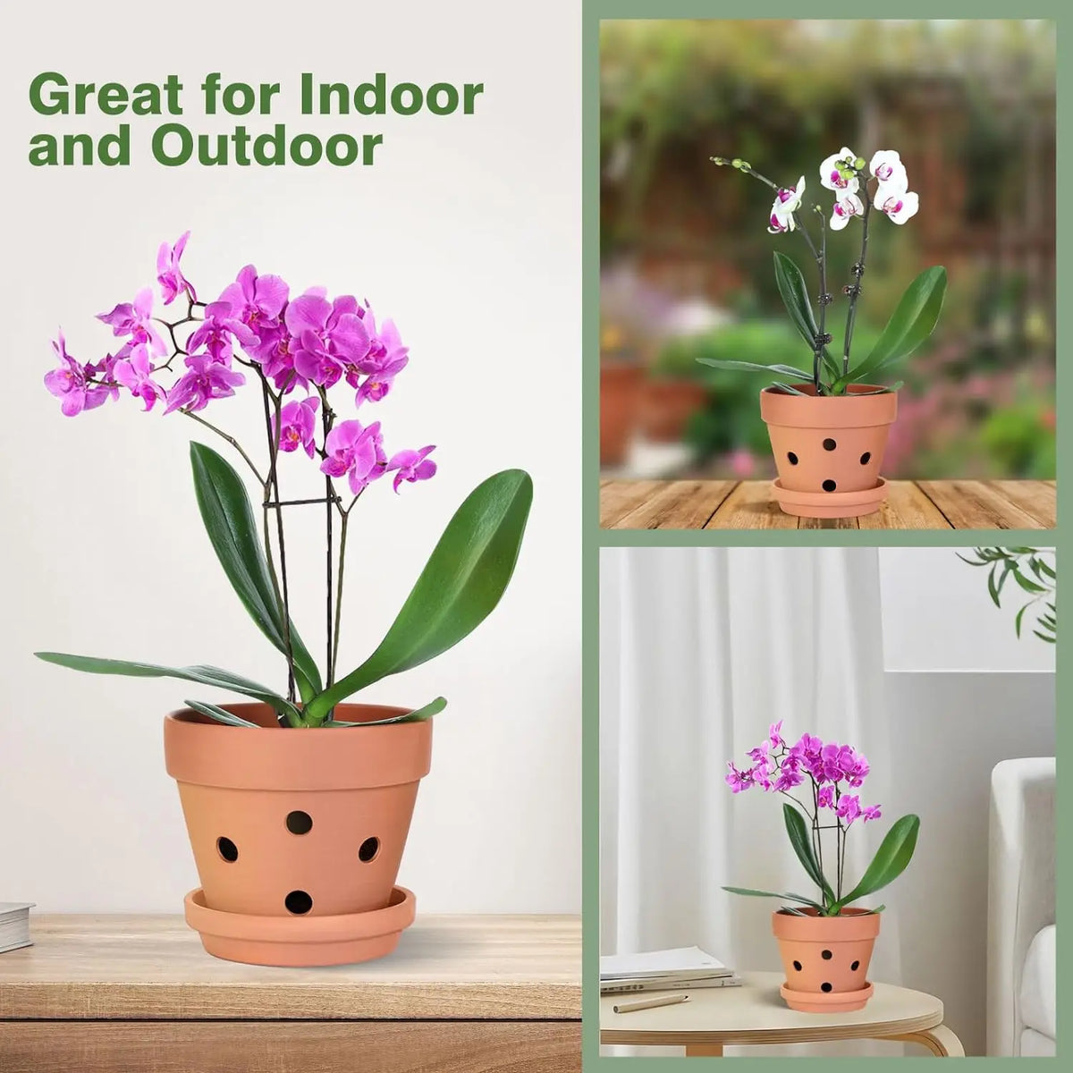 Terracotta Orchid Pots Set of 6, 10cm, with Drainage Holes, Saucers, Clay Growing Pots, Indoor Flower Pots | Sansoti