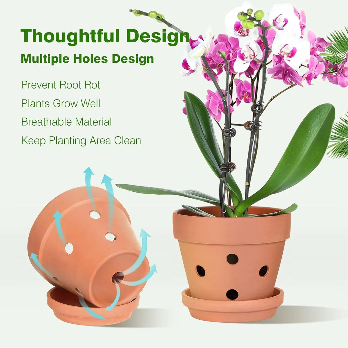 Terracotta Orchid Pots Set of 6, 10cm, with Drainage Holes, Saucers, Clay Growing Pots, Indoor Flower Pots | Sansoti
