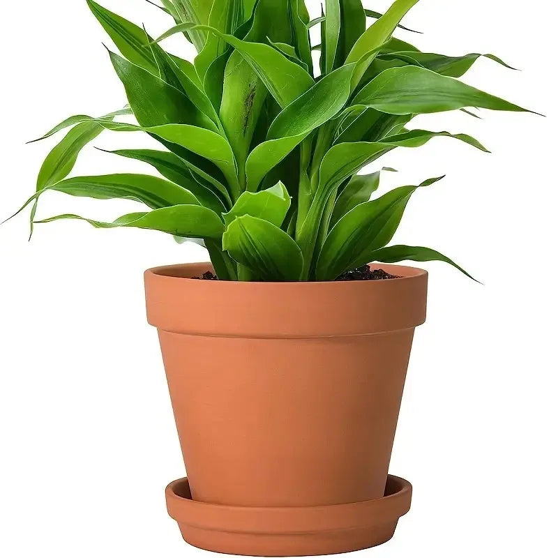 Set van 4 Terracotta Bloempotten 10 cm met Schotel & Drainagegat Decoratief Aardewerk voor Binnen en Buiten | Sansoti