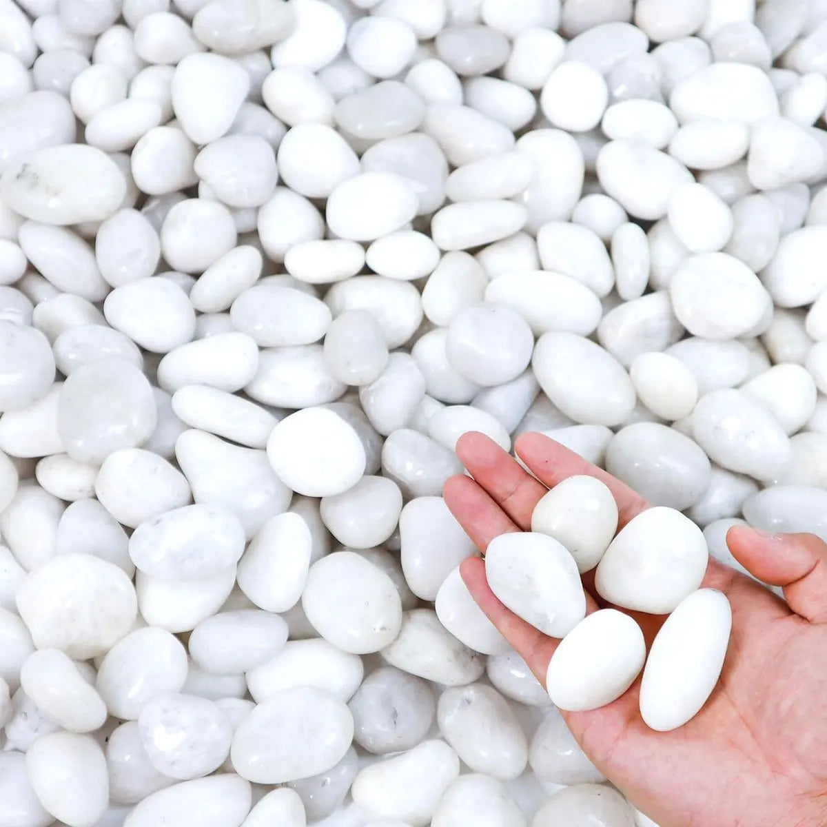 White garden pebbles - 400g White Polished Natural River Pebbles 2-3cm - Decorative Stones for Planters, Aquariums & Garden Landscaping ZSY