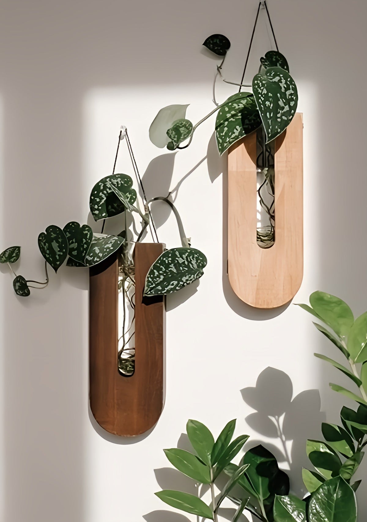Holz Wand-Blumenhalter Set 7-teilig Kiefer Vertikaler Pflanzenhalter | Sansoti