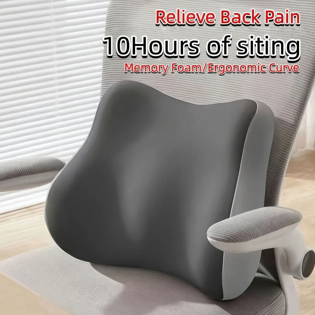 Portable Lumbar Cushion, Memory Foam Ergonomic Back Support for Office Chair, Car, Home and Travel, Lower Back Comfort | Sansoti