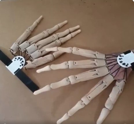 Articulated Finger Extensions Halloween Skeleton Claw Set 2 Pieces Black Beige Costume Party Accessory | Sansoti