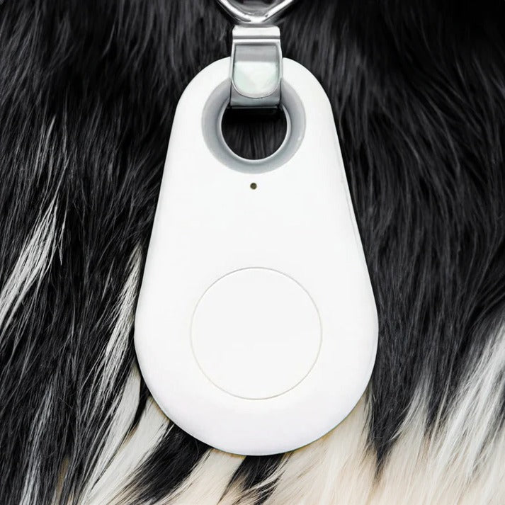 Wodoodporny lokalizator GPS dla zwierząt z Bluetooth i aplikacją, monitorowanie lokalizacji w czasie rzeczywistym, bezpieczeństwo psów i kotów | Sansoti