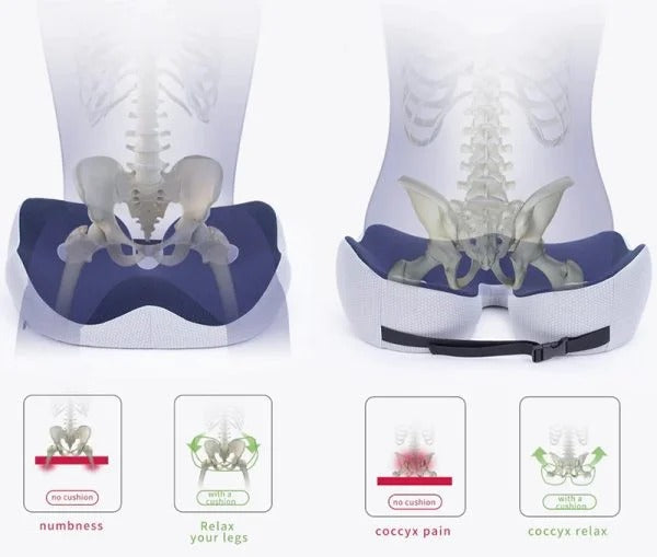 Ergonomisch Zitkussen Memory Foam Zitbeenontlasting Rugsteun Bureau Auto Stoel Orthopedisch Comfort Kantoor | Sansoti