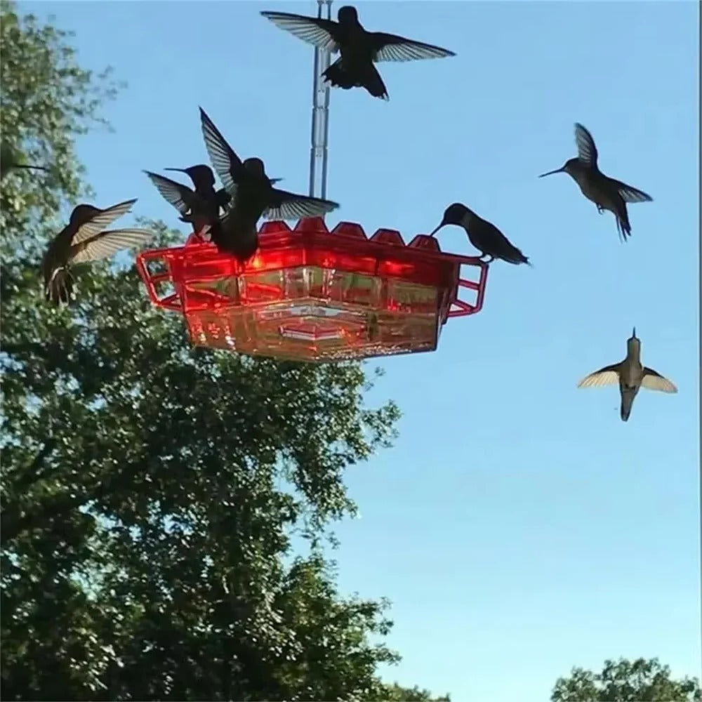 Outdoor Hummingbird Feeder with Ant Guard, 30 Feeding Ports, Hanging Bird Feeder, Garden Decoration | Sansoti