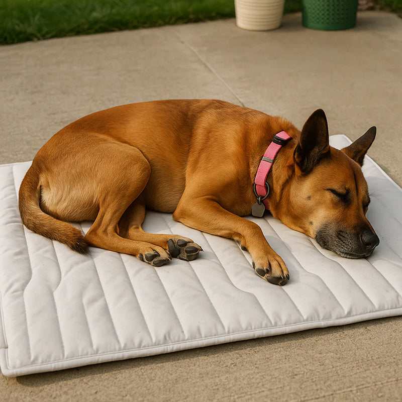 Tapis rafraîchissant pour chien à activation automatique avec technologie Arc-Chill, certifié OEKO-TEX, confort rafraîchissant pour animaux de compagnie | Sansoti