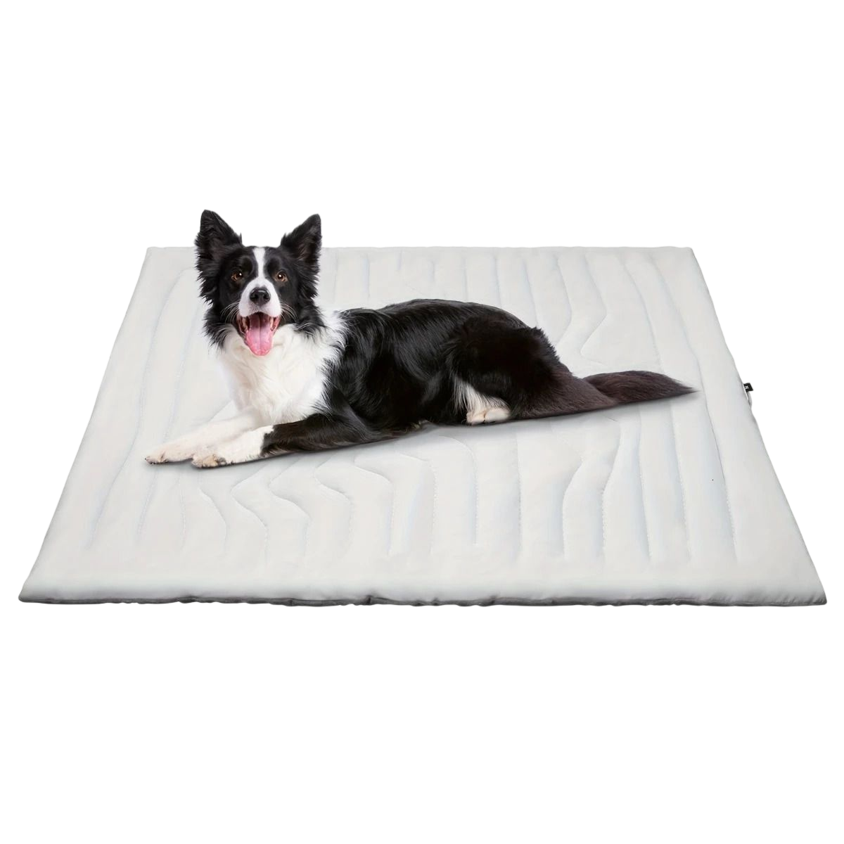 Tapis rafraîchissant pour chien à activation automatique avec technologie Arc-Chill, certifié OEKO-TEX, confort rafraîchissant pour animaux de compagnie | Sansoti