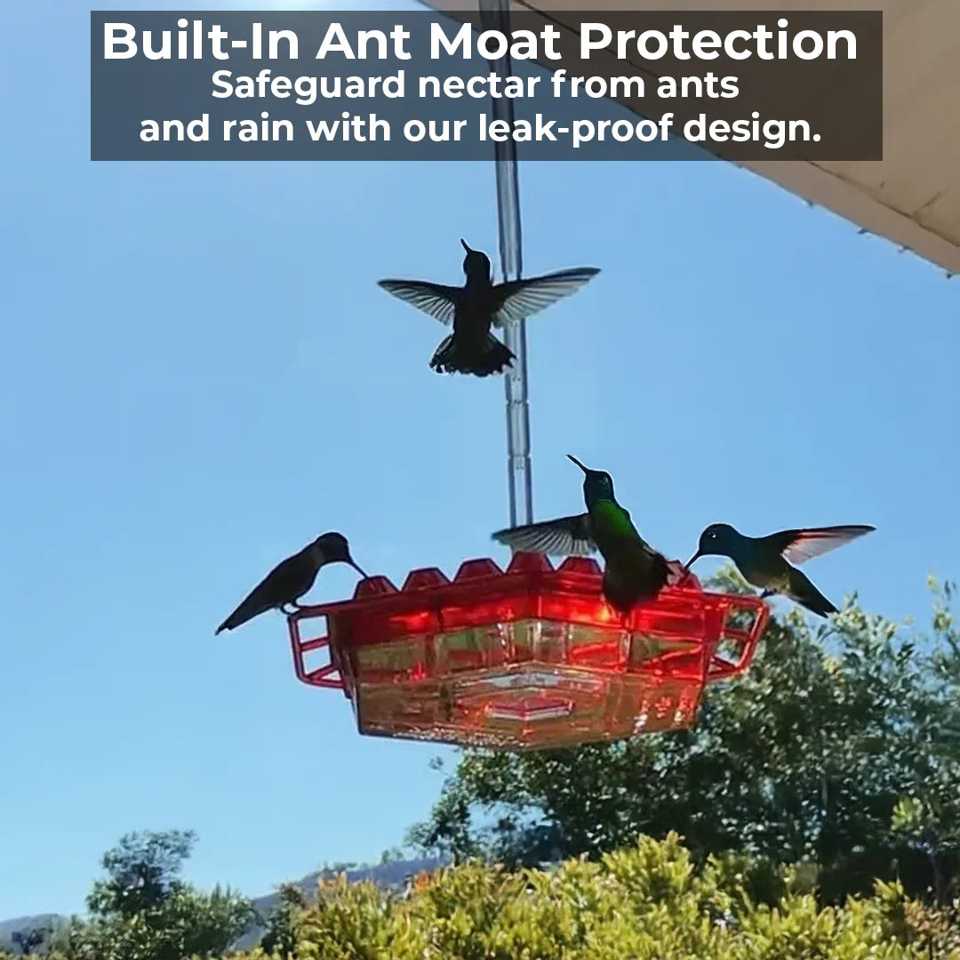 Hummingbird Feeder Station with 30 Feeding Ports Ant Moat Hanging Hook Garden Decoration Bird Feeding Garden | Sansoti