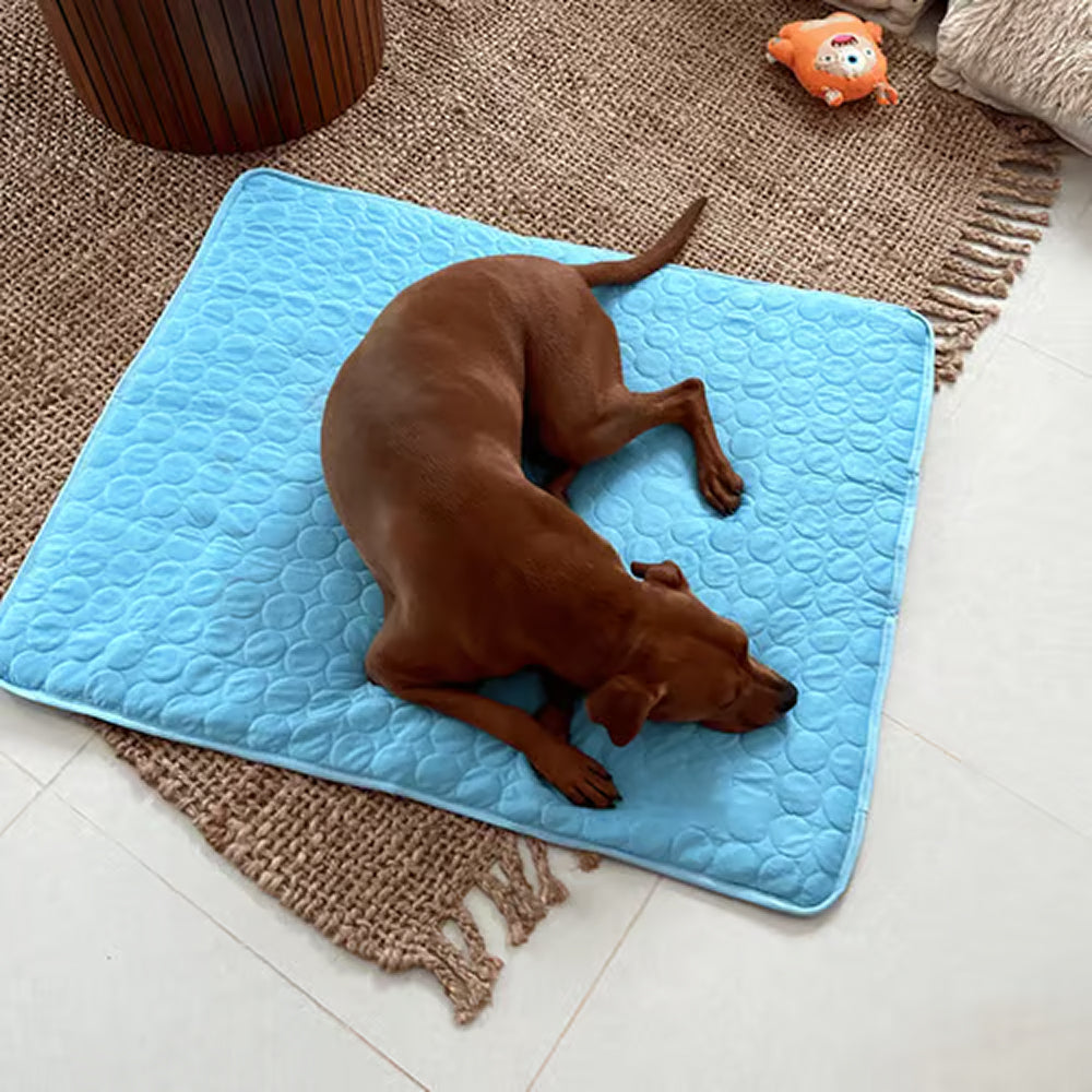 Selbstkühlende Haustiermatte mit Temperaturregulierung, ohne Strom und Gel, waschbar, komfortabel, für Hunde und Katzen | Sansoti