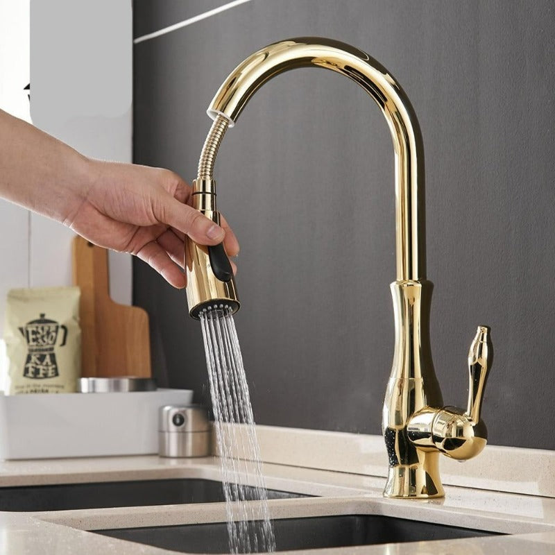 Pull-Out Kitchen Faucet with Shower Head, Stainless Steel, 360° Swivel Mixer Tap for Kitchen Sink, Professional Kitchen | Sansoti