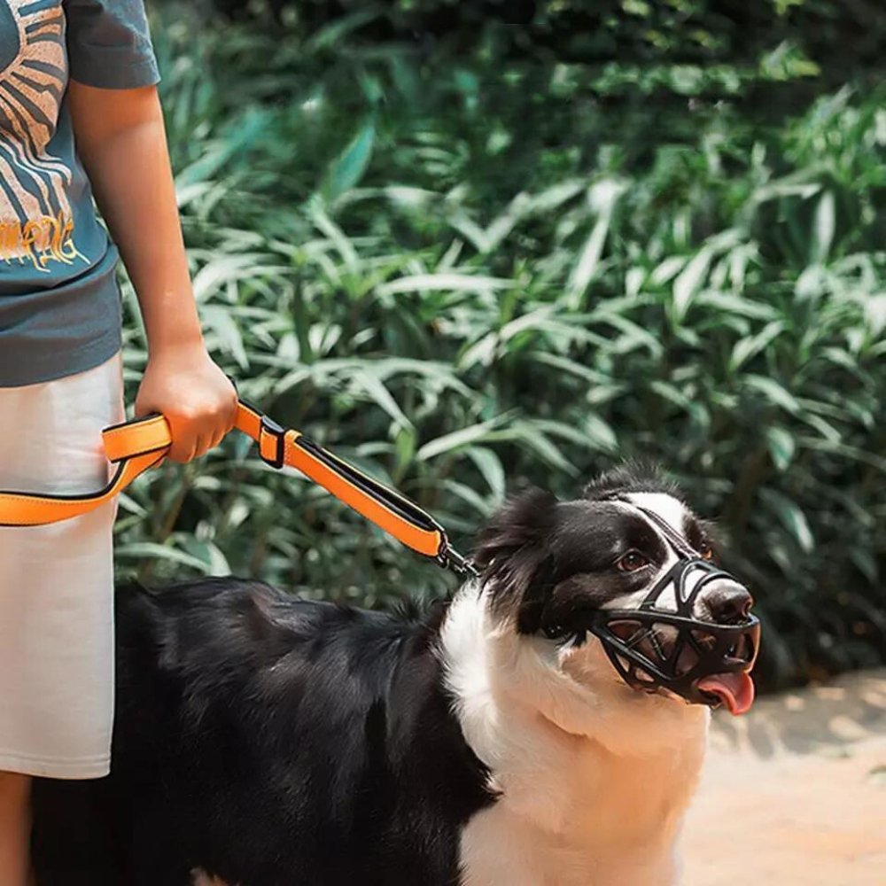 Adjustable Dog Muzzle – Breathable & Comfortable – Soft Fit for Safe Behavior | Sansoti
