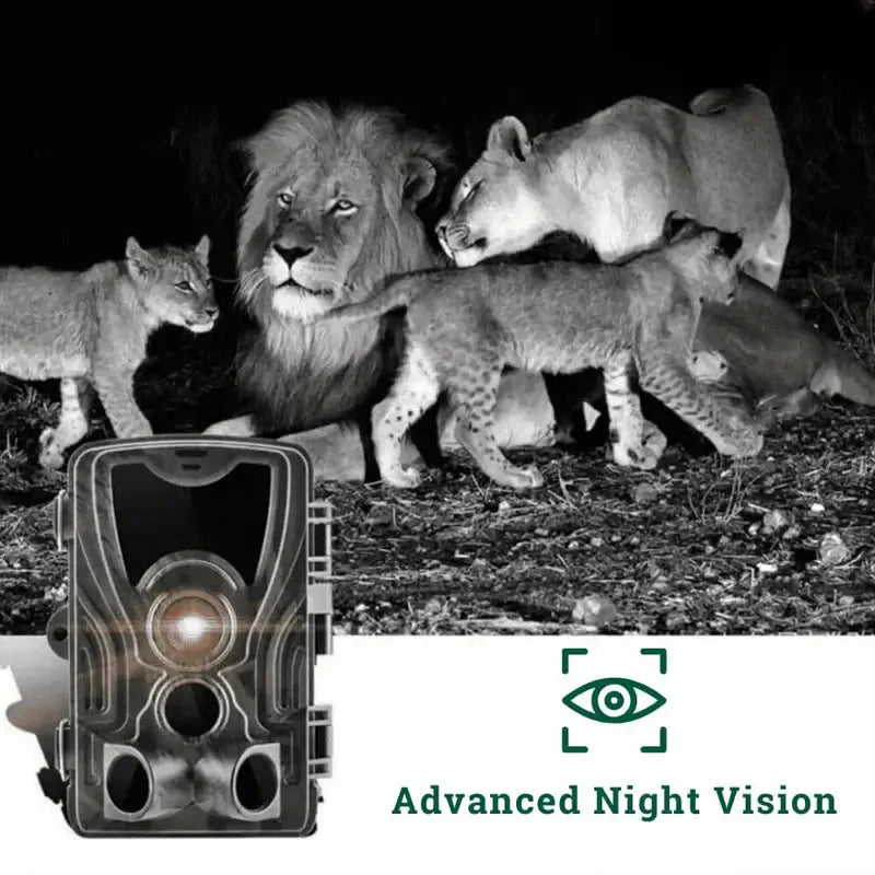 Wildlife camera with motion sensor & night vision | Trail camera for nature, garden & security