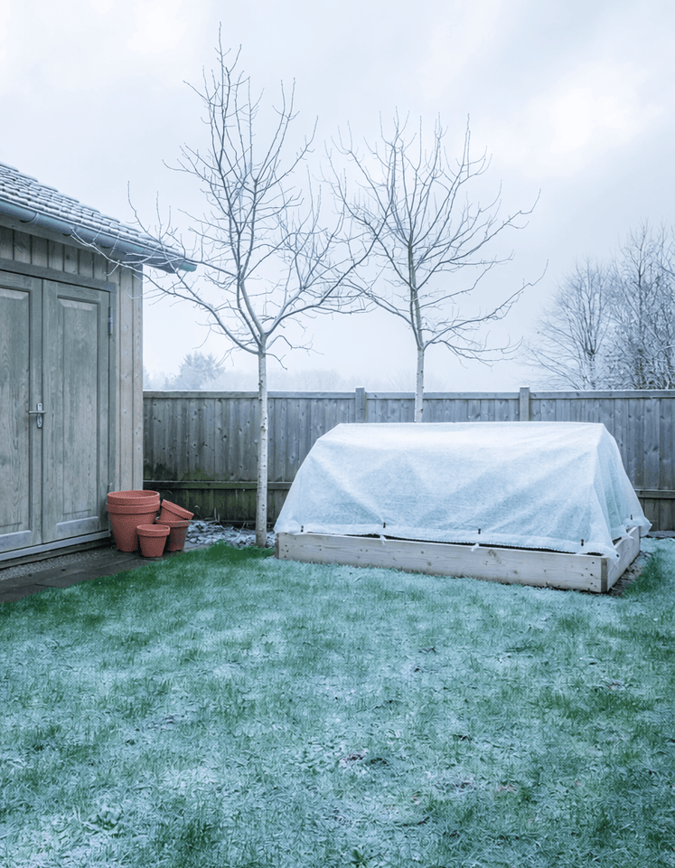 Rasenpflege im Dezember