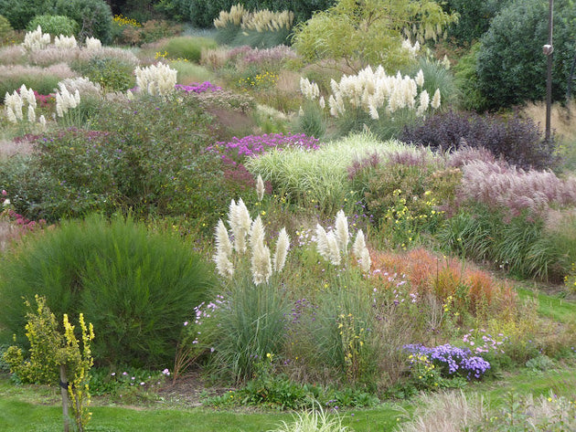blog-how-to-prairietuin-aanleggen