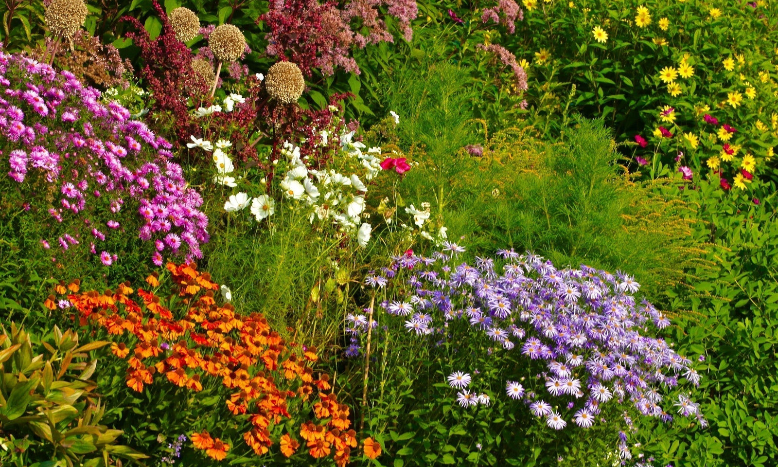 Duftende Pflanzen im Garten