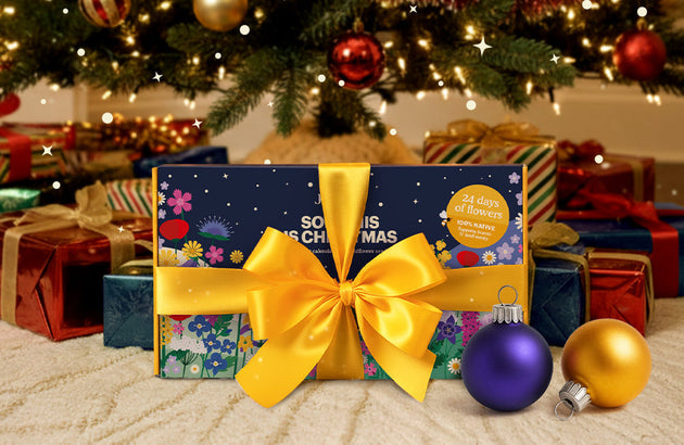 Joyfields-Advent-Blog