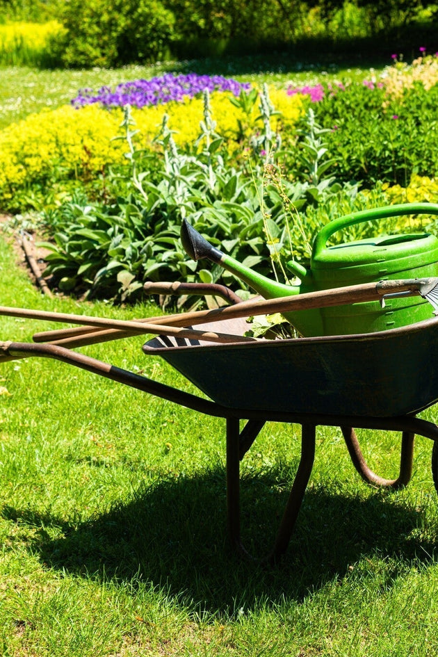 Must-have tuingereedschappen voor elke tuinier