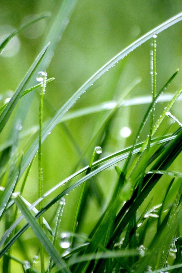 Nat gras maaien