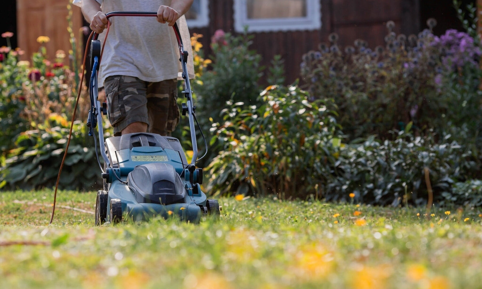 Gartenkalender Mai: Der Garten erwacht zum Leben!