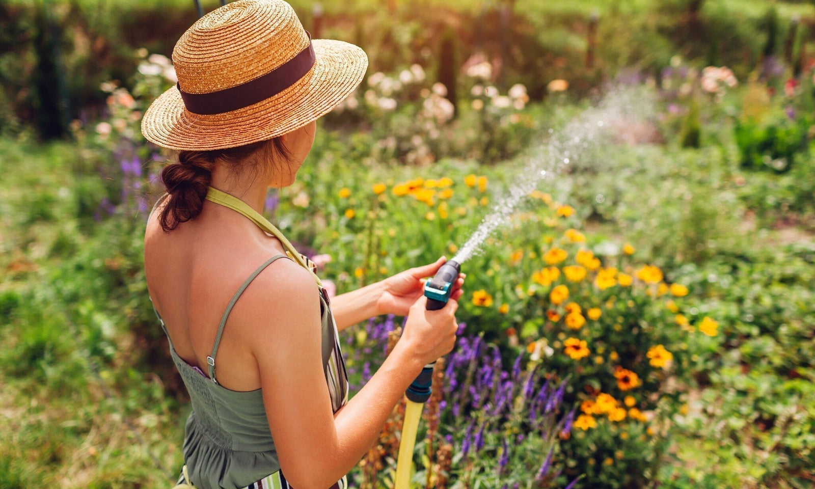 Gartenkalender Juli: Tipps für einen gesunden Sommergarten!