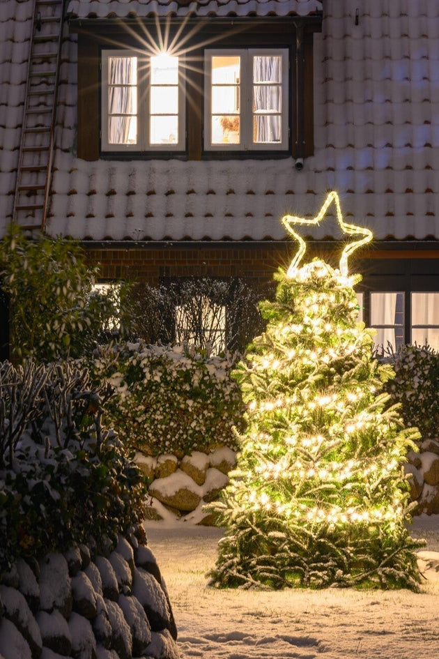 Tuinkalender december