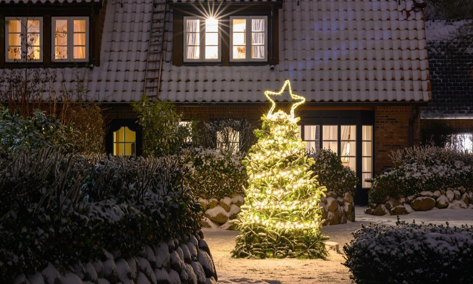 Gartenkalender Dezember: Die Natur ruht – und Sie?