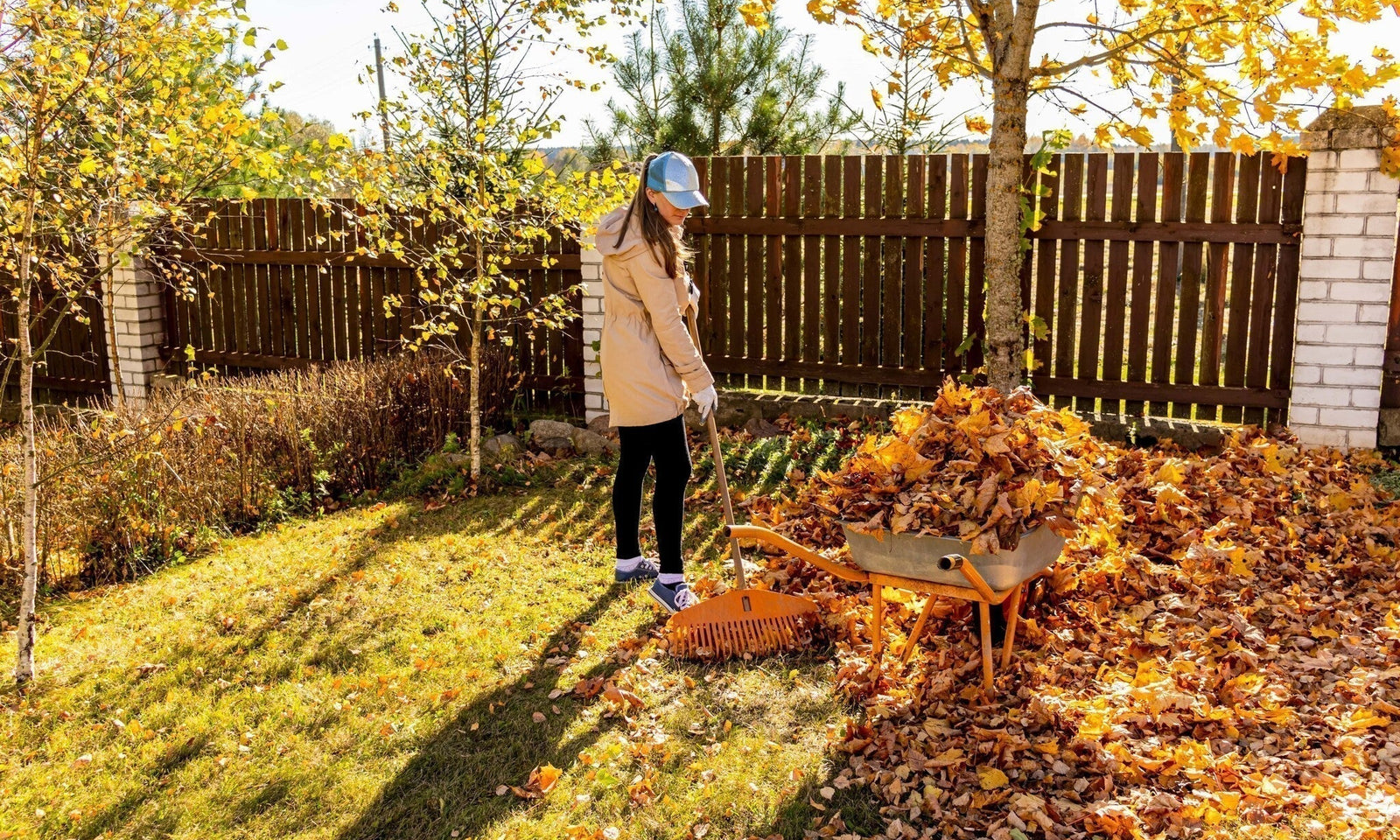 Gartenkalender November: Was jetzt im Garten zu tun ist