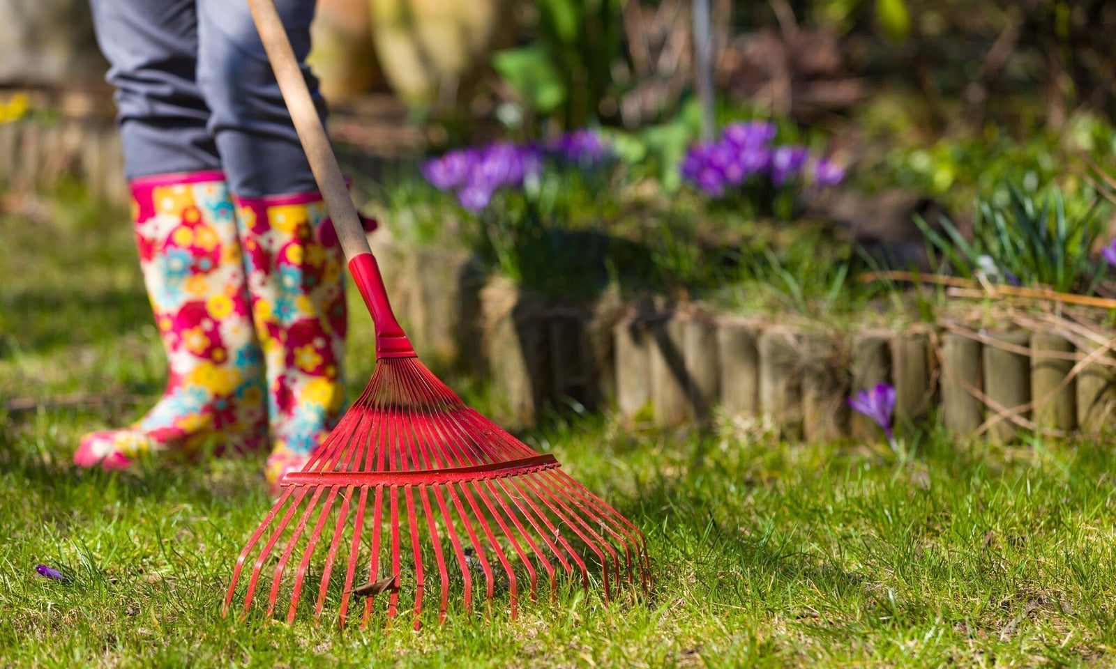Garten im Frühjahr: Die wichtigsten Arbeiten