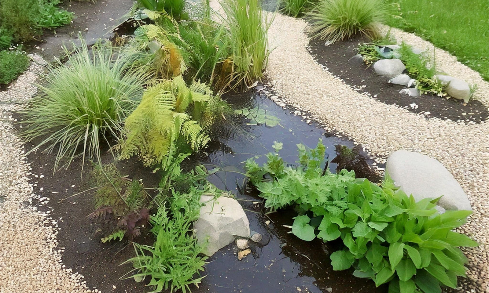 Bau eines Wadis im Garten
