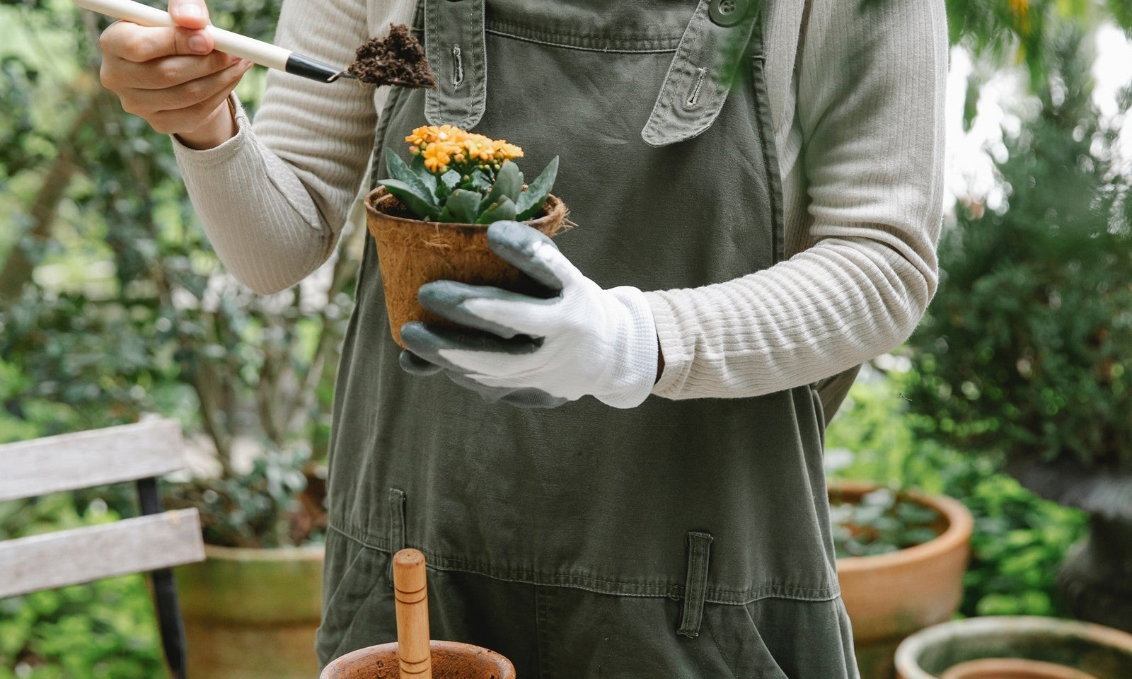 Saatgutkalender Blumen