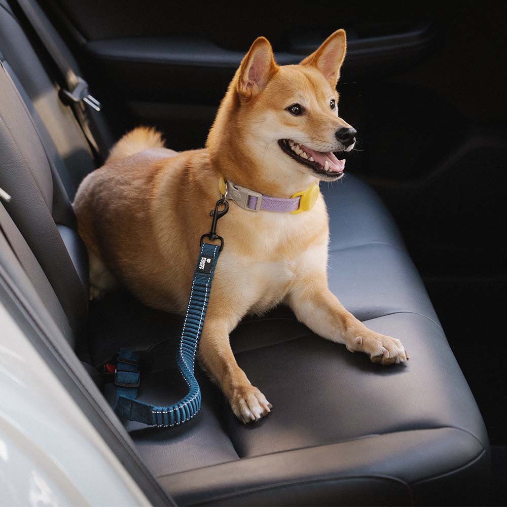 Car seat belt buffer adjustable dog collar harness safety for car travel reflective pet dog | Sansoti