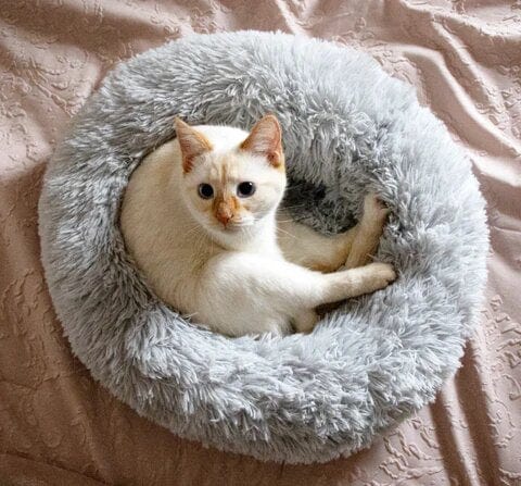 Round Pet Bed with Raised Edge Plush Sleeping Area for Dogs and Cats Comfortable Nest Soft Cushion Warm Resting Bed | Sansoti