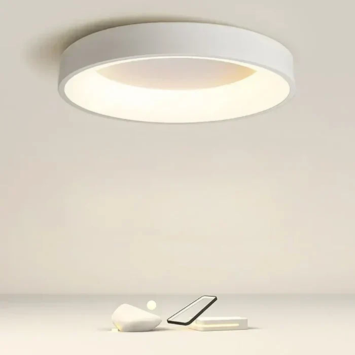 Round LED Ceiling Light Scandinavian Design White Gray Living Room Bedroom Hallway Energy-Efficient 30–60 cm | Sansoti